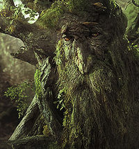 Treebeard2.jpg